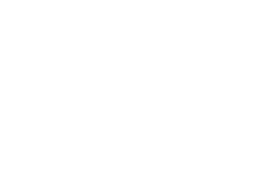progbiz